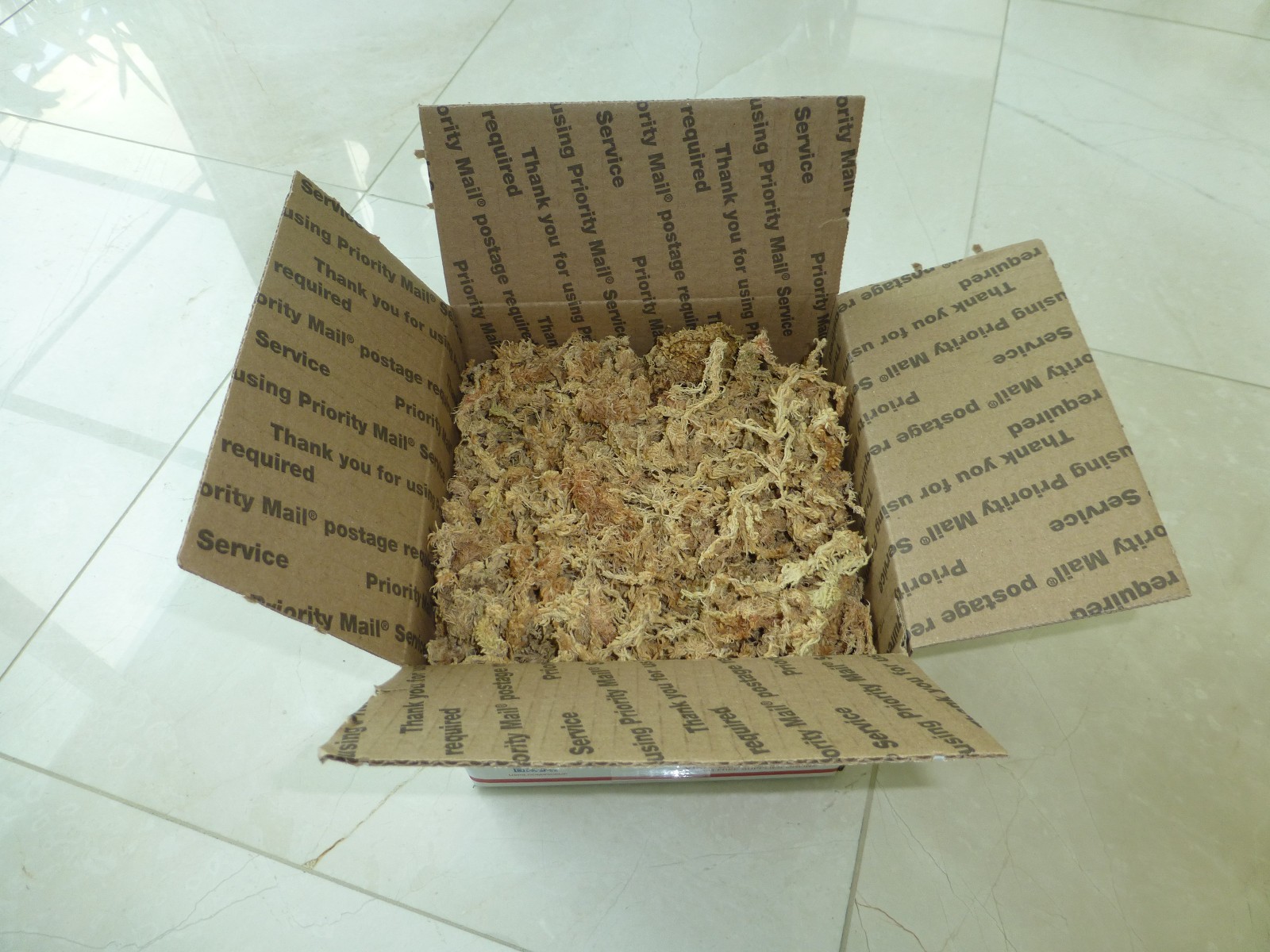 Premium New Zealand Sphagnum Moss AAA Grade for Plants Orchids Reptiles