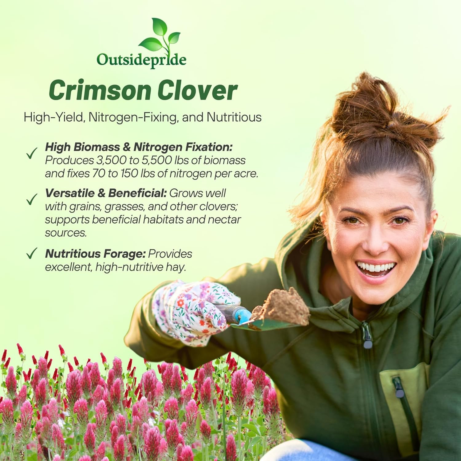 Crimson Clover Seeds – 5 Lbs. Annual, Nitrocoated, & Inoculated