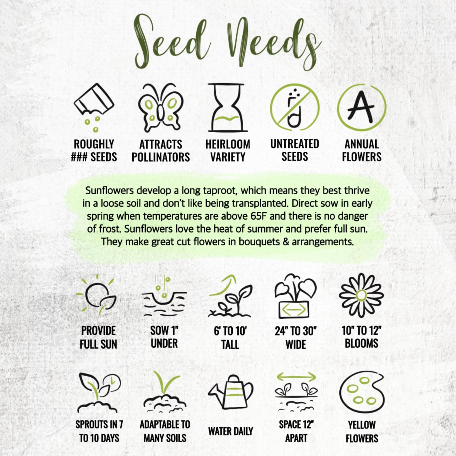 Seed Needs Sunflower Seeds to Plant 600+ Mammoth Grey 1.5 Ounce, Yellow