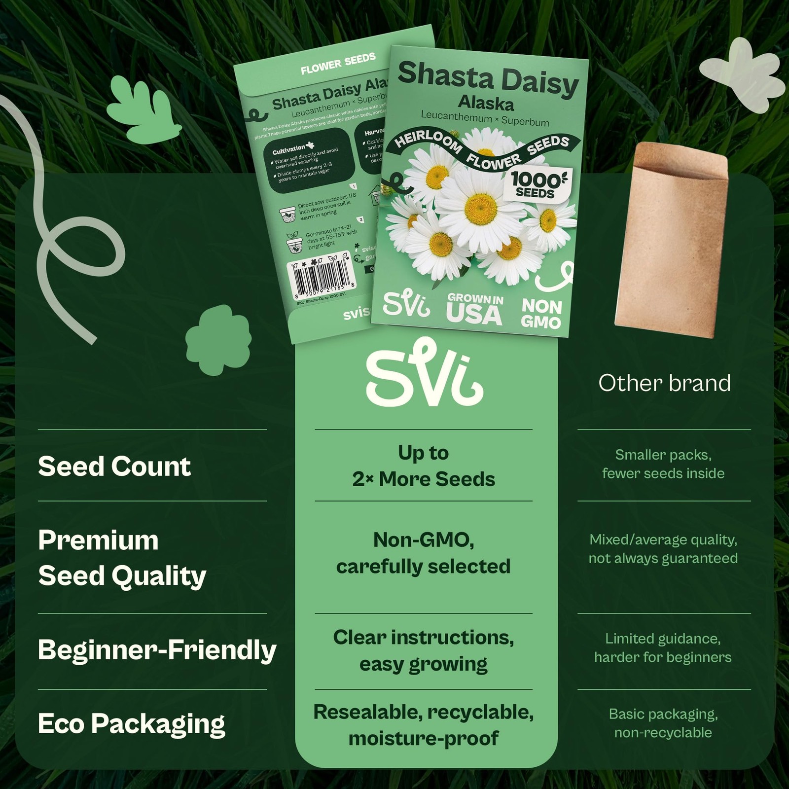 SVI 1000 Alaska Shasta Daisy Seeds (Leucanthemum) – White Flowers