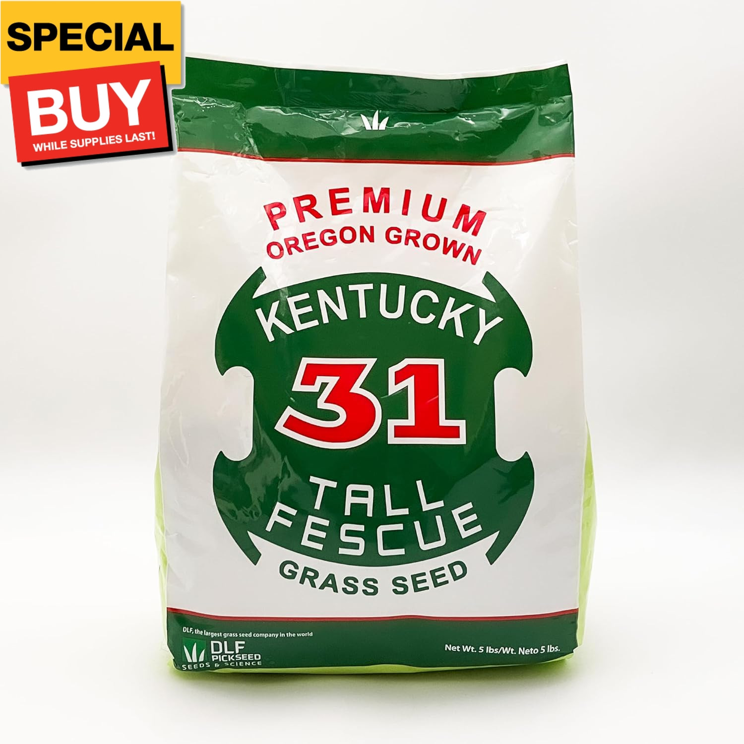 X-Seed Oregon Grown Kentucky 31 Tall Fescue Grass Seed for Sun and Shade Drought