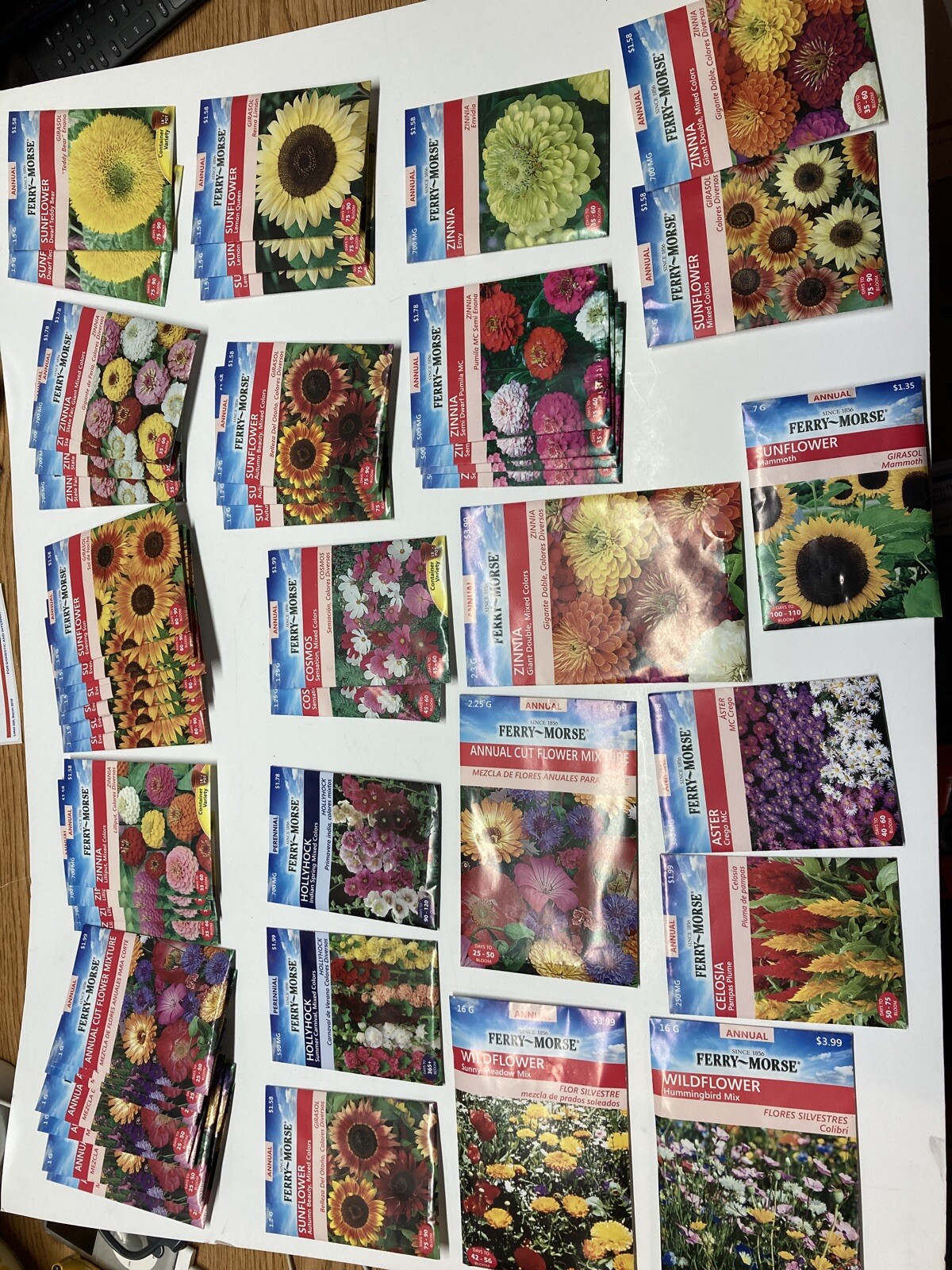 50 Ferry Morse Flowers Seed Packs Perennial Annual Free Shipping
