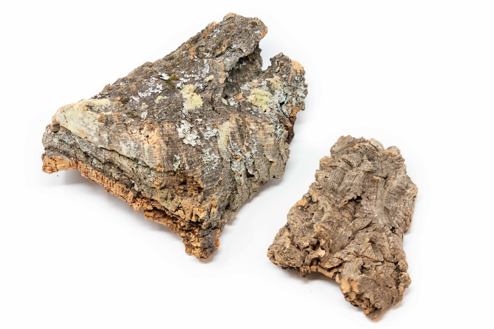 Rustic Cork Bark Slabs for Display or Mounting – No Plants Included
