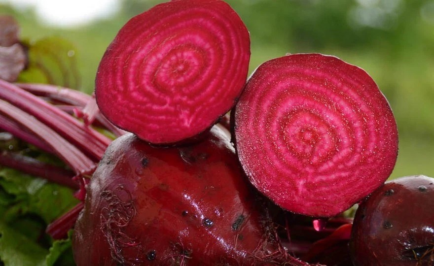 Detroit Dark Red Beet Seeds, NON-GMO , ORGANIC, HEIRLOOM – Free Shipping!