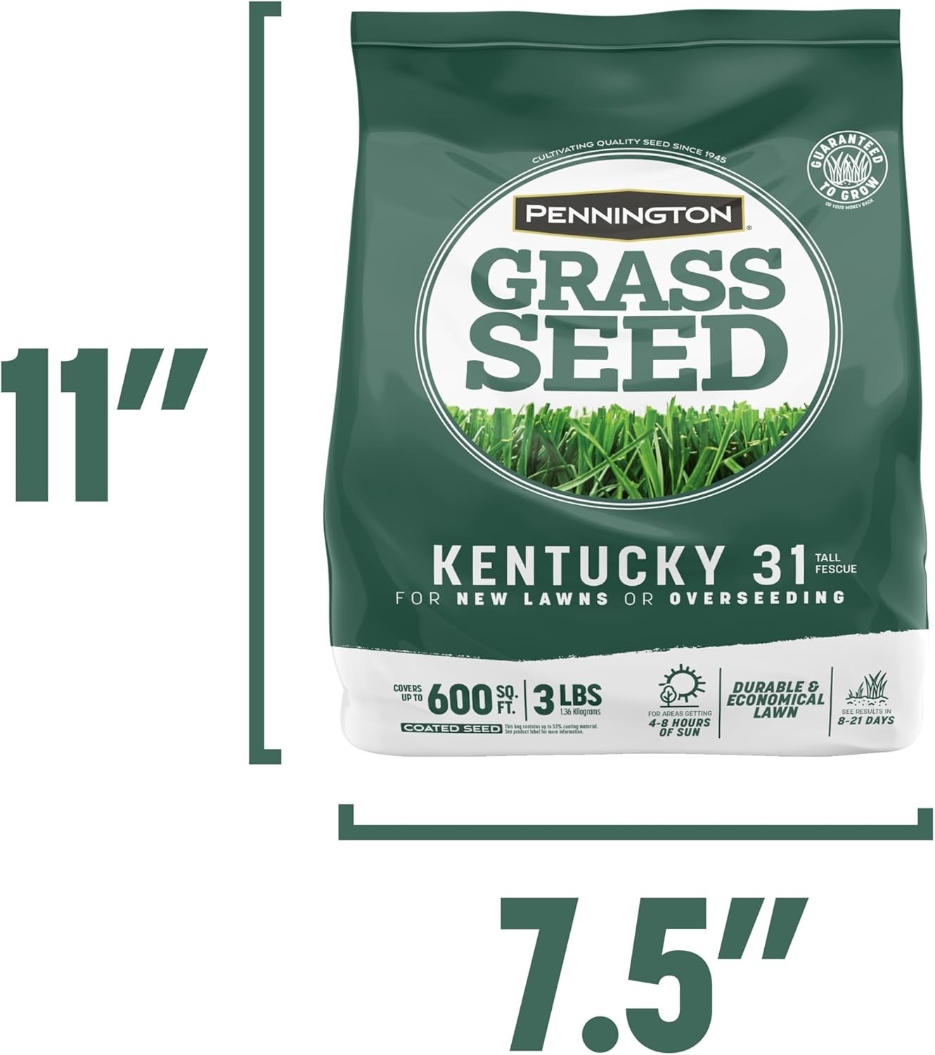 Durable Kentucky 31 Tall Fescue Grass Seed – 3 LB Fast-Growing Drought Resistant