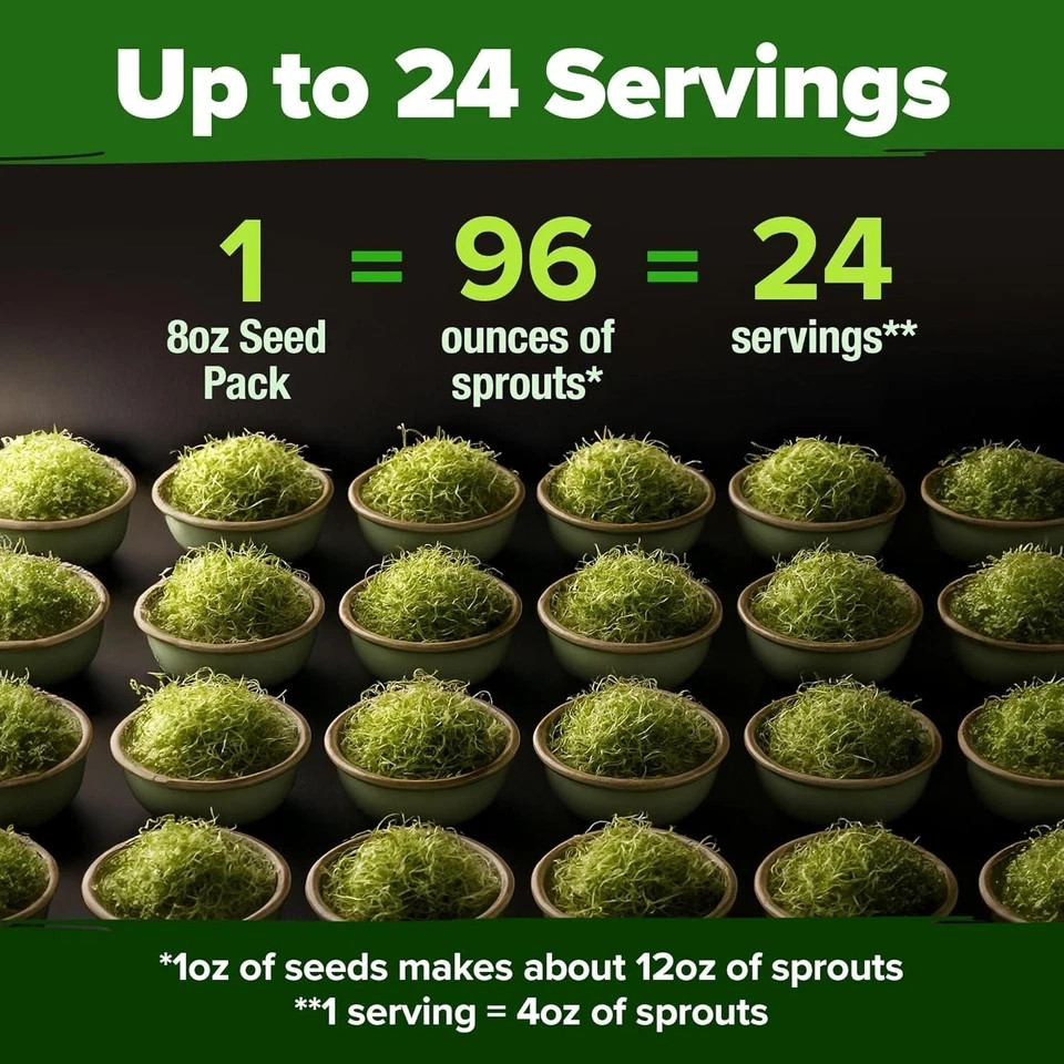 Broccoli Sprouting & Microgreens Seeds – 64,200 Non-GMO Heirloom