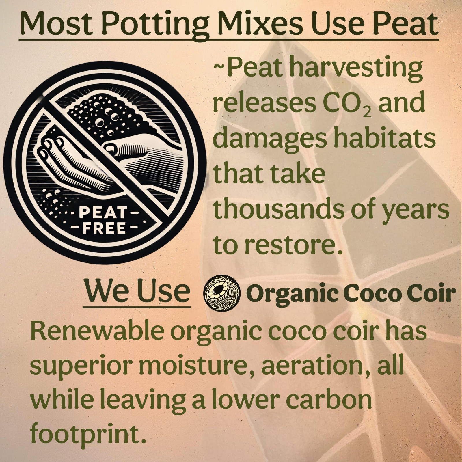 Organic Potting Mix for Indoor Plants – Well-Draining Soil for Alocasia, Monster