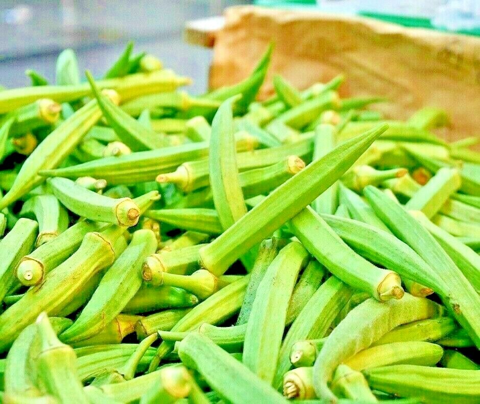 300 SEEDS OKRA CLEMSON GARDEN VEGETABLE HEIRLOOM ALL-AMERICAN WINNER NON-GMO USA