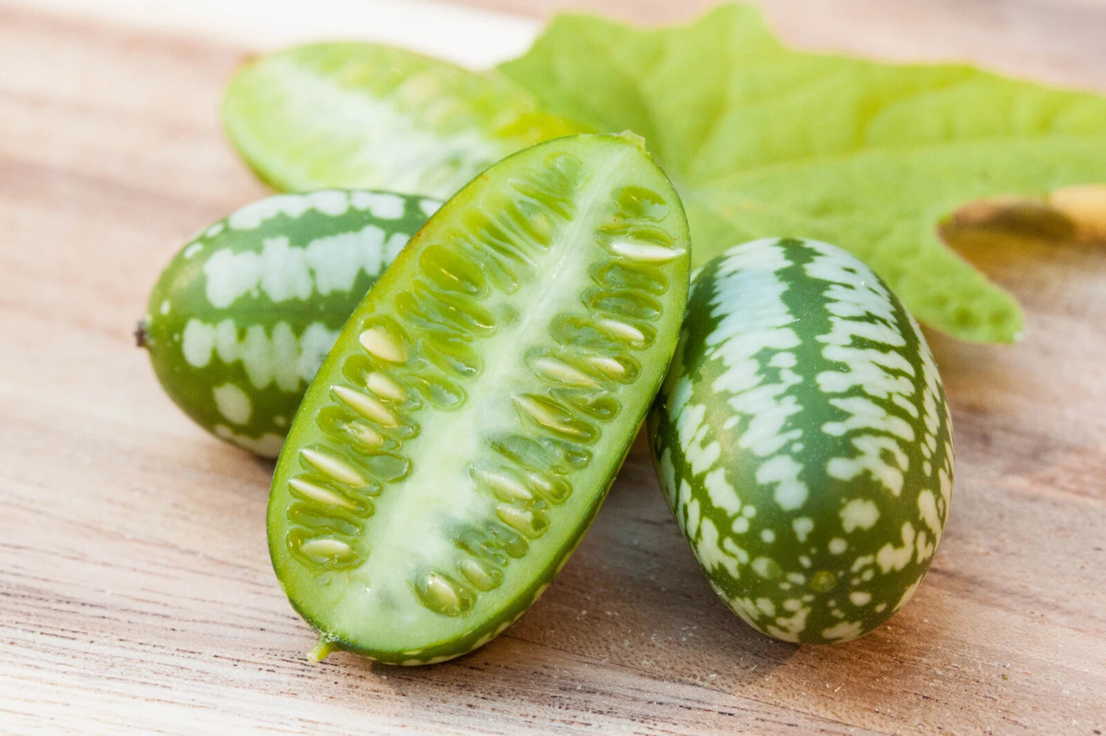 Botanical Interests Mouse Melon Cucamelon Seeds Annual Vegetable Seed Packet