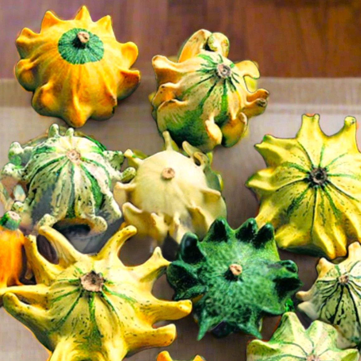 Crown of Thorns Ornamental Gourd Seeds | Shenot Decorative Fall Autumn Seed 2025