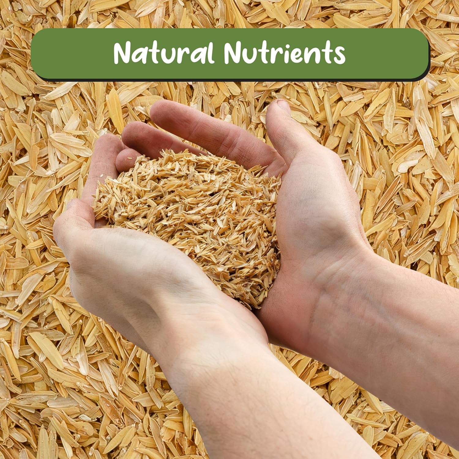 Soil Sunrise Horticultural Grade Rice Hulls (4 Quarts) All Natural 4 Quarts