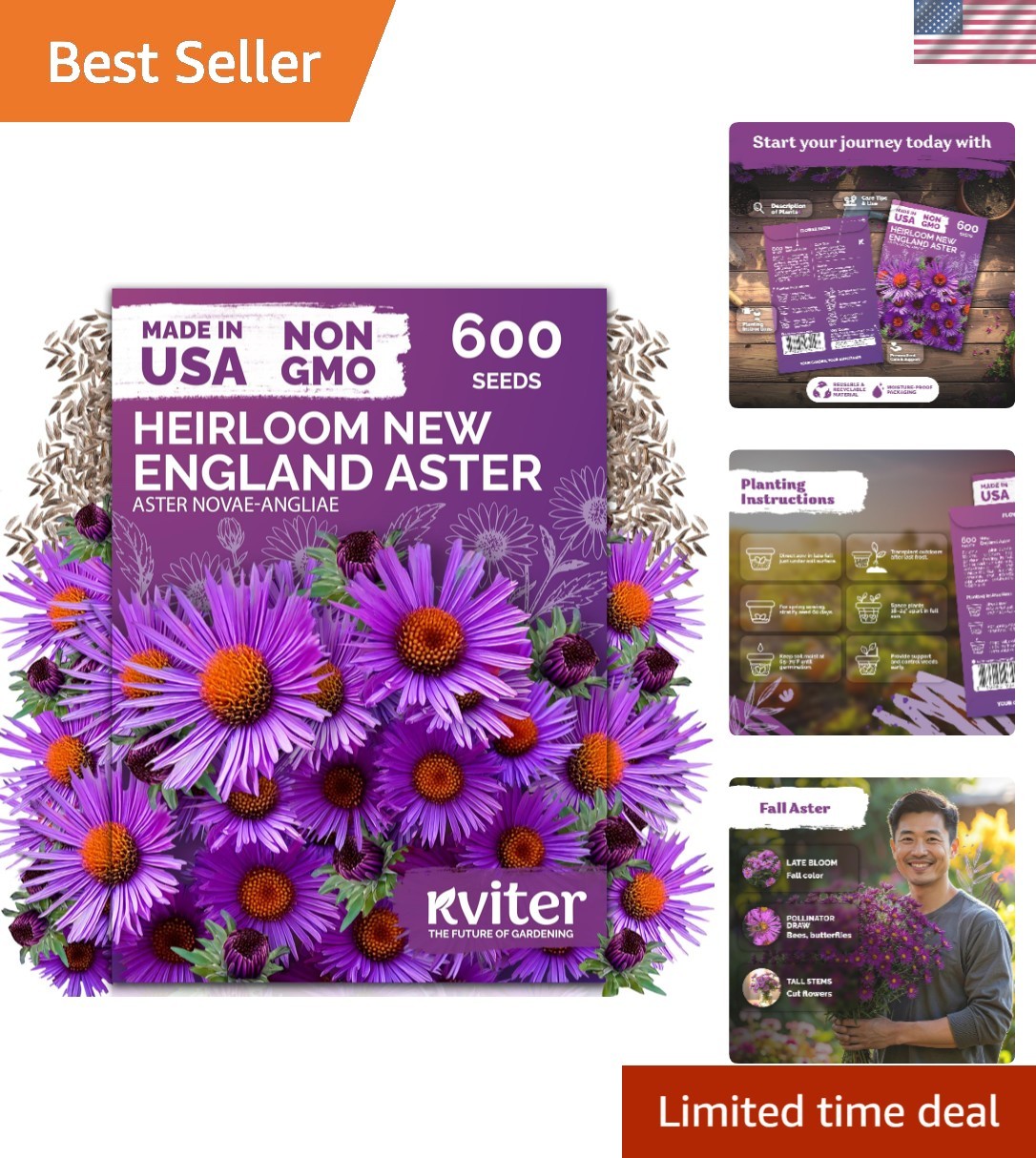 Tall 48-Inch Purple New England Aster Seeds – 600 Count for Elegant Fall Gardens