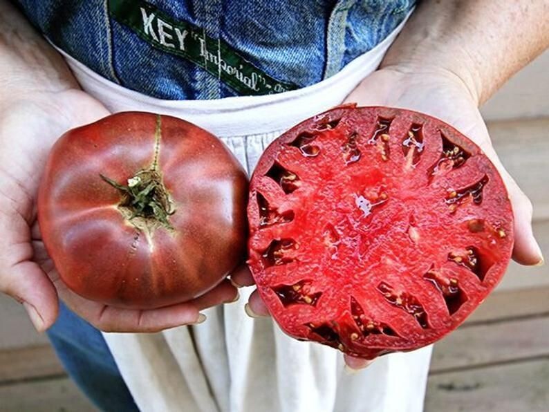 240+ Cherokee Purple Tomato Seeds ———————- Heirloom