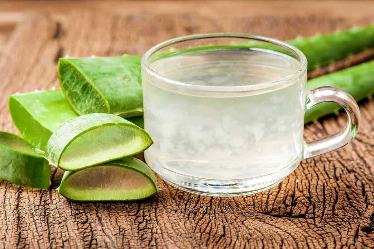 Aloe Vera Barbadensis Organic Leaf Edible Antioxidant, Skin Healing 16 -64ounce