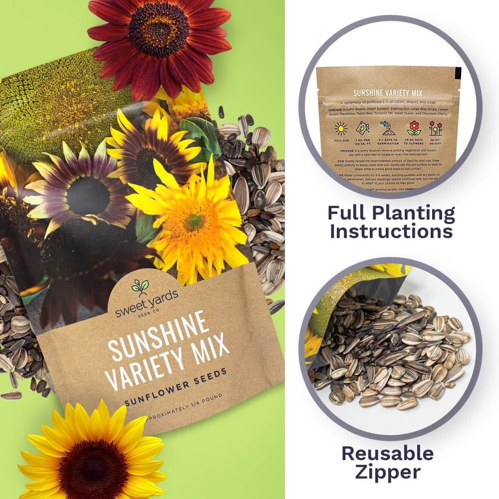Bulk Sunflower Seeds – Variety Mix 10 Types of Beautiful Sunflowers – 1/4 Pou…