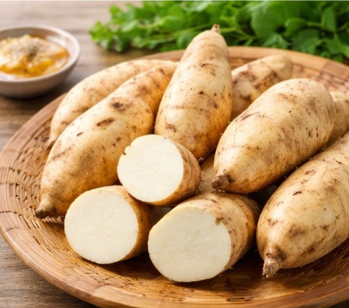 Korean White Sweet Potato ROOTED Slips (10ct) | Goguma White Ready to Plant Rare