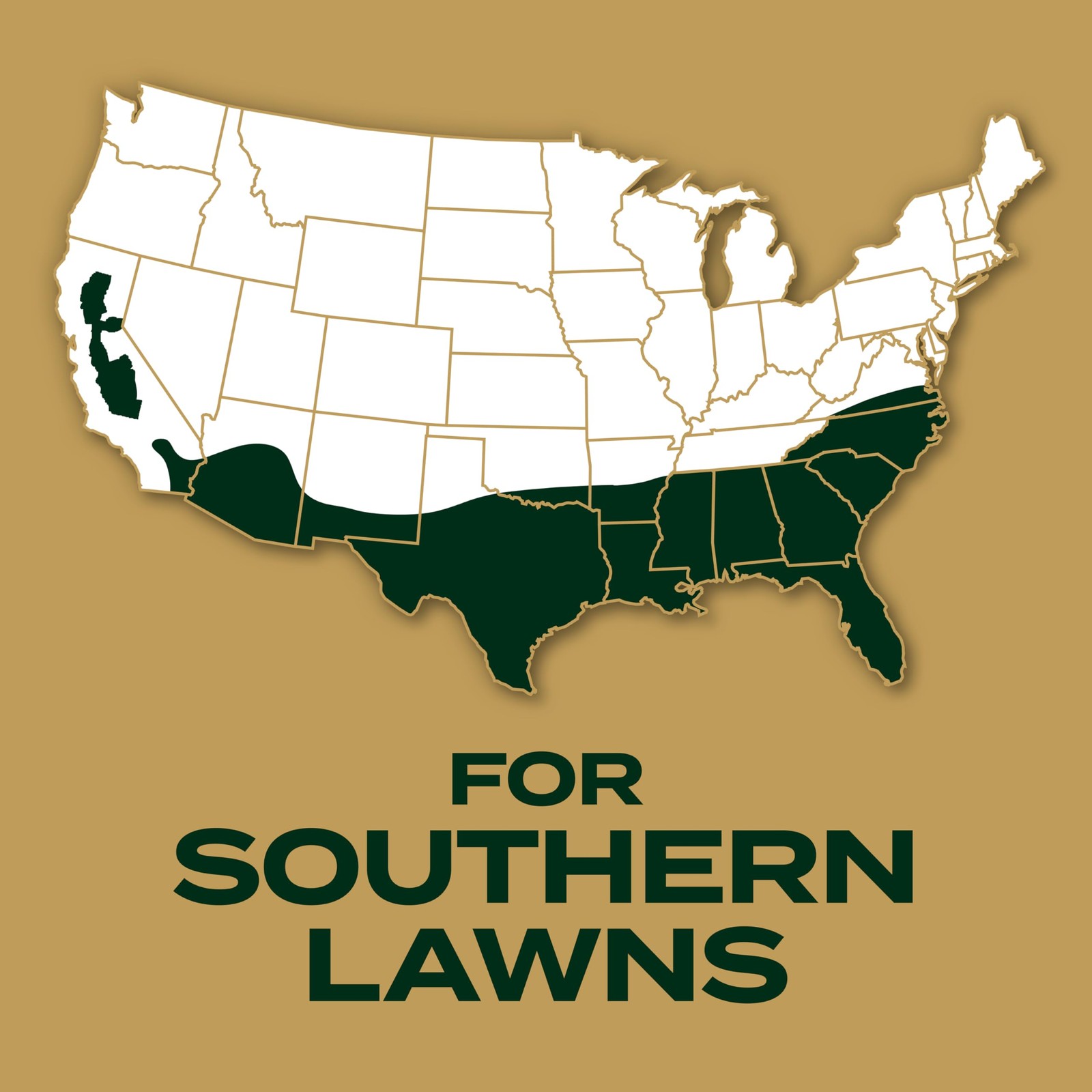Scotts Ez Seed Patch And Repair Zoysia Grass Combination Mulch Grass Seed And