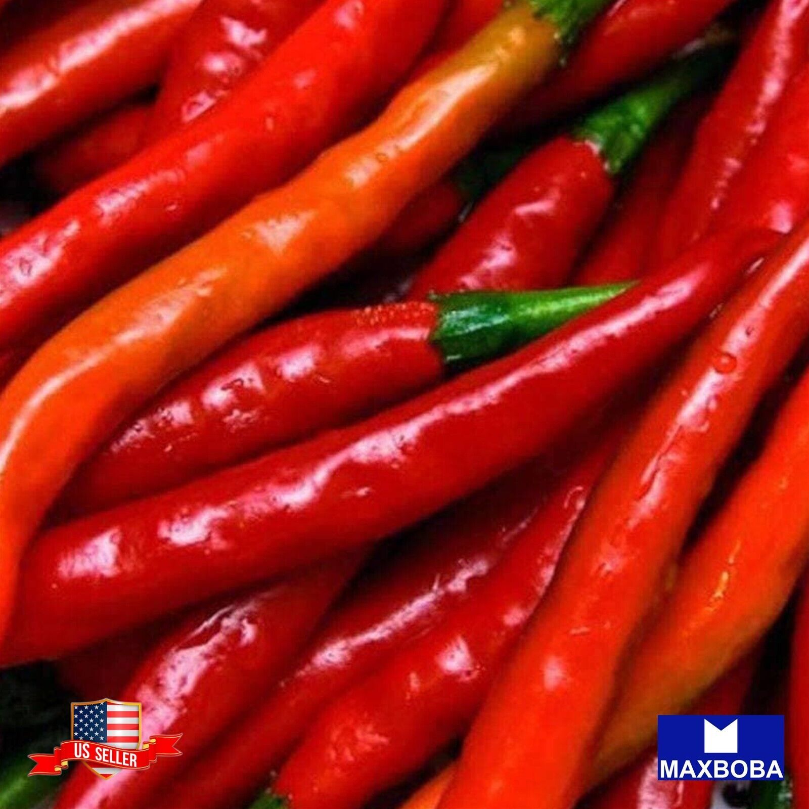 Pepper Seeds Hot Cayenne Long Red Thin Organic Heirloom Vegetable Non-GMO