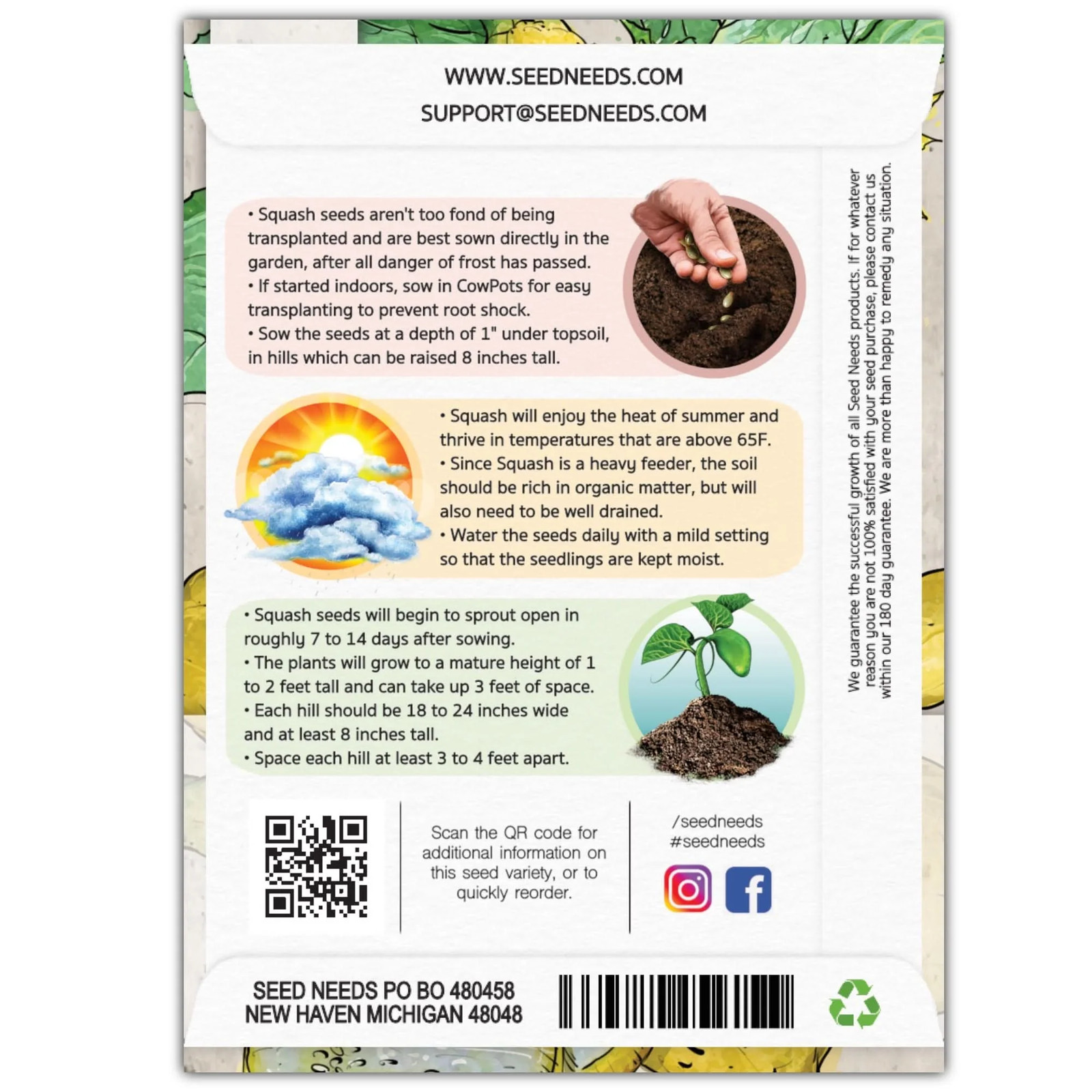Early Prolific Straightneck Summer Squash Seeds For Planting (Cucurbita pepo)