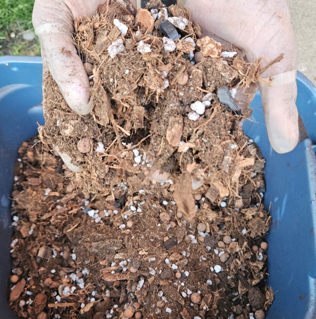 Chunky Potting Mix blended in the right proportion for Various plants New 1Qt 1G