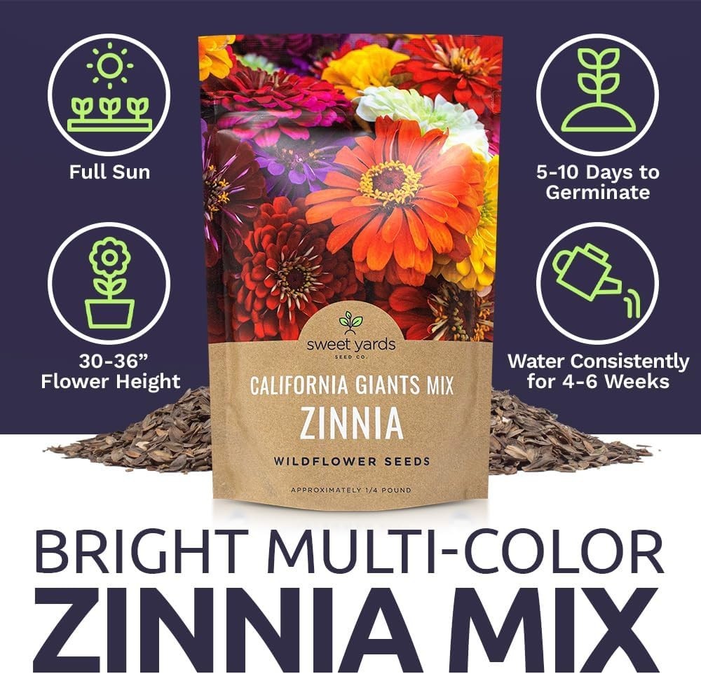 Massive Bulk Zinnia Seeds – California Giants Mix – Perfect for Garden Displays