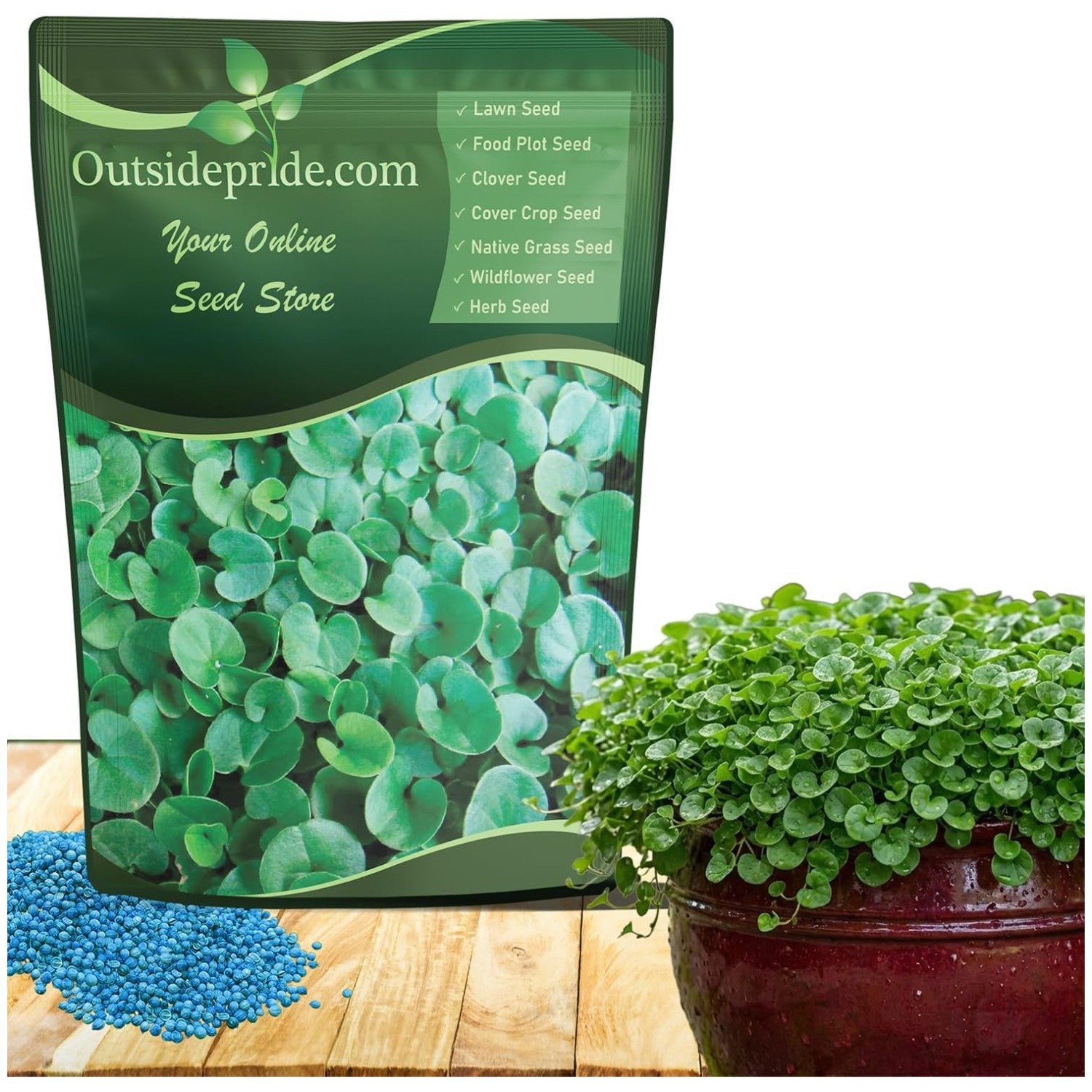Drought-Tolerant Dichondra Seeds – Sun & Shade Ground Cover
