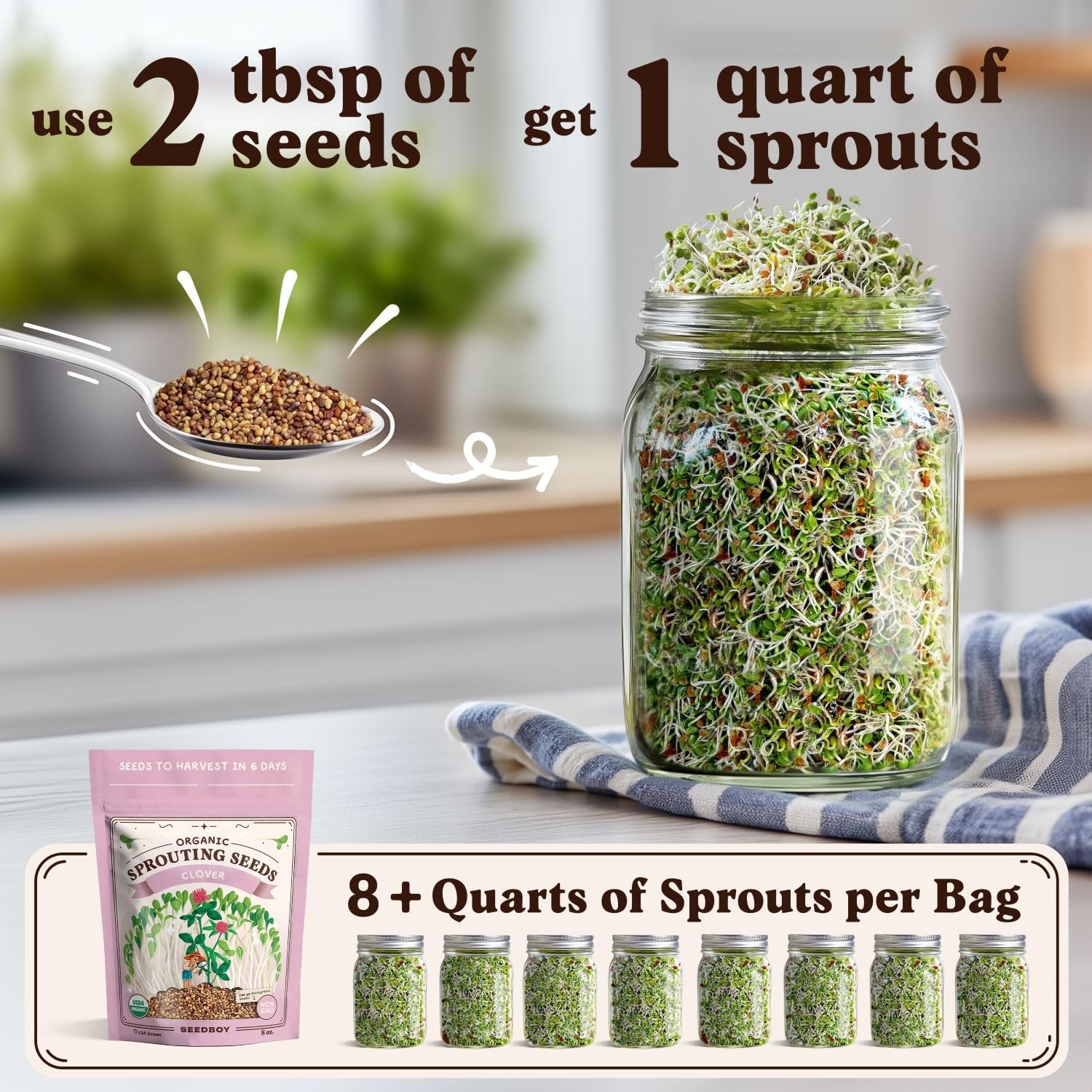 Seedboy Organic Non-GMO Clover Seeds for Sprouting – USA Grown Green