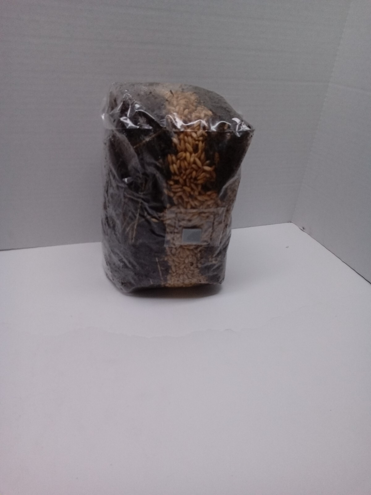 5 lb All in One Mushroom Grow Bag Sterilized GROWING BIO-BAG KIT FAST SHIP [A]