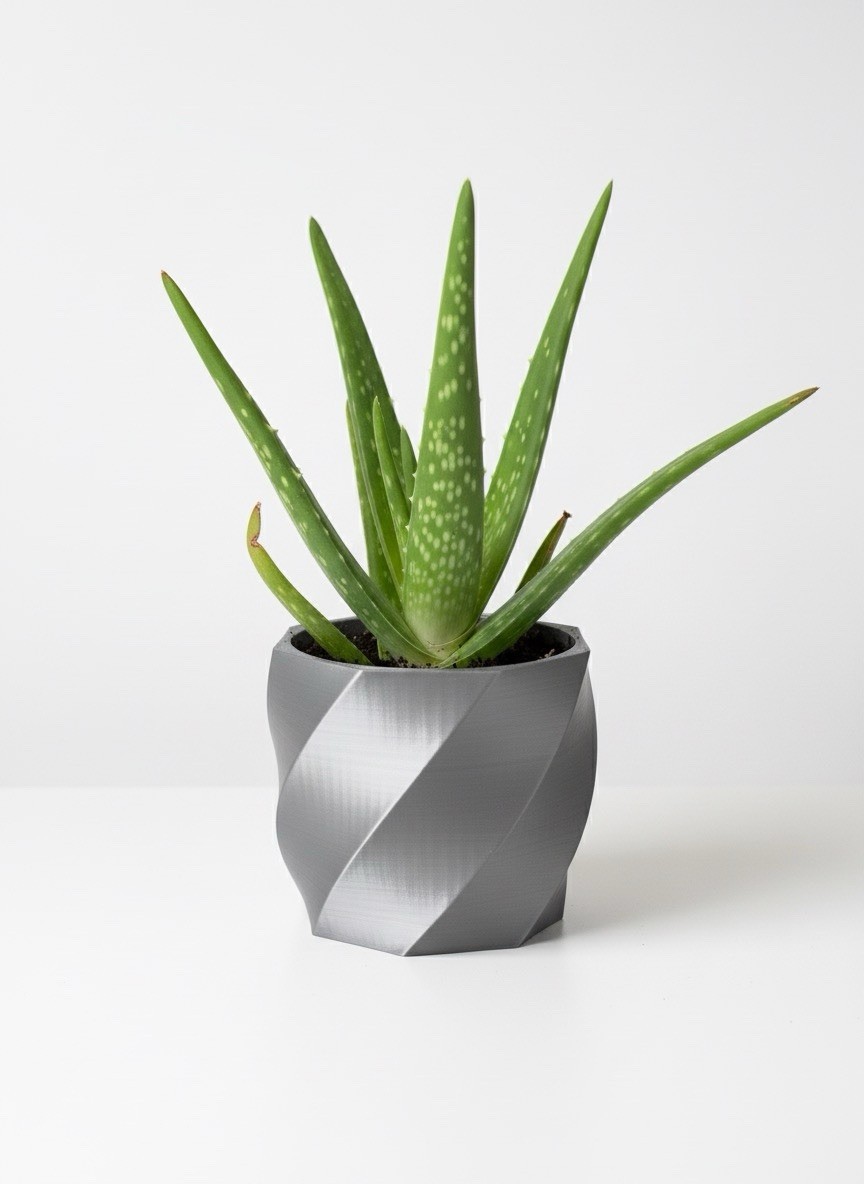 Aloe Vera 1 Live Plant 5”-10″ bare root + 3D Printed Planter (Color Varies)
