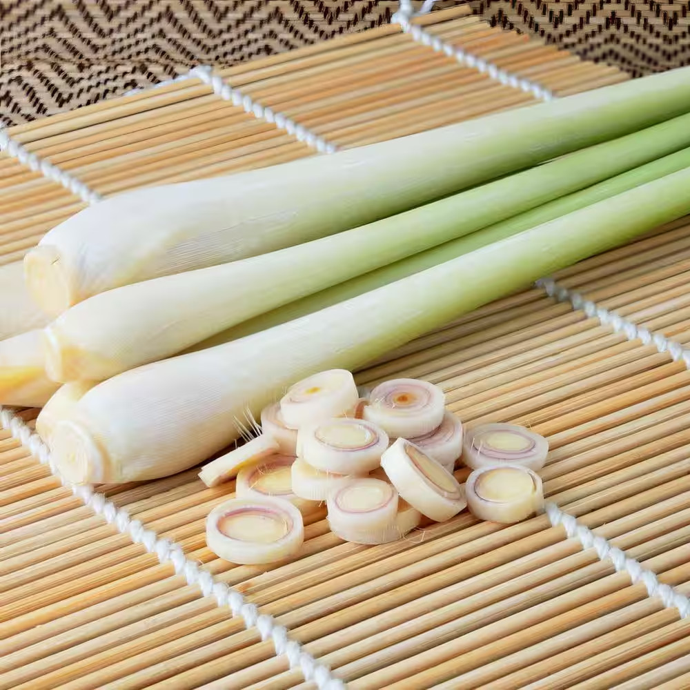 1 Gal. Lemongrass Plant