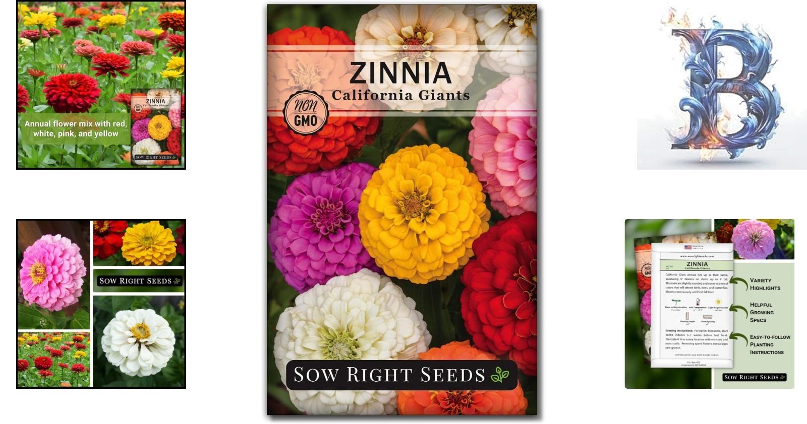 California Giant Zinnia Flower Seeds – Attract Pollinators with Fragrant Blooms