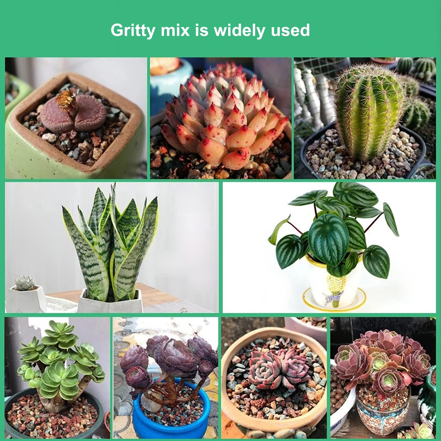 5Lb Succulent Cactus Bonsai Soil Gritty Mix Gravel Top Dressing Fast Drain