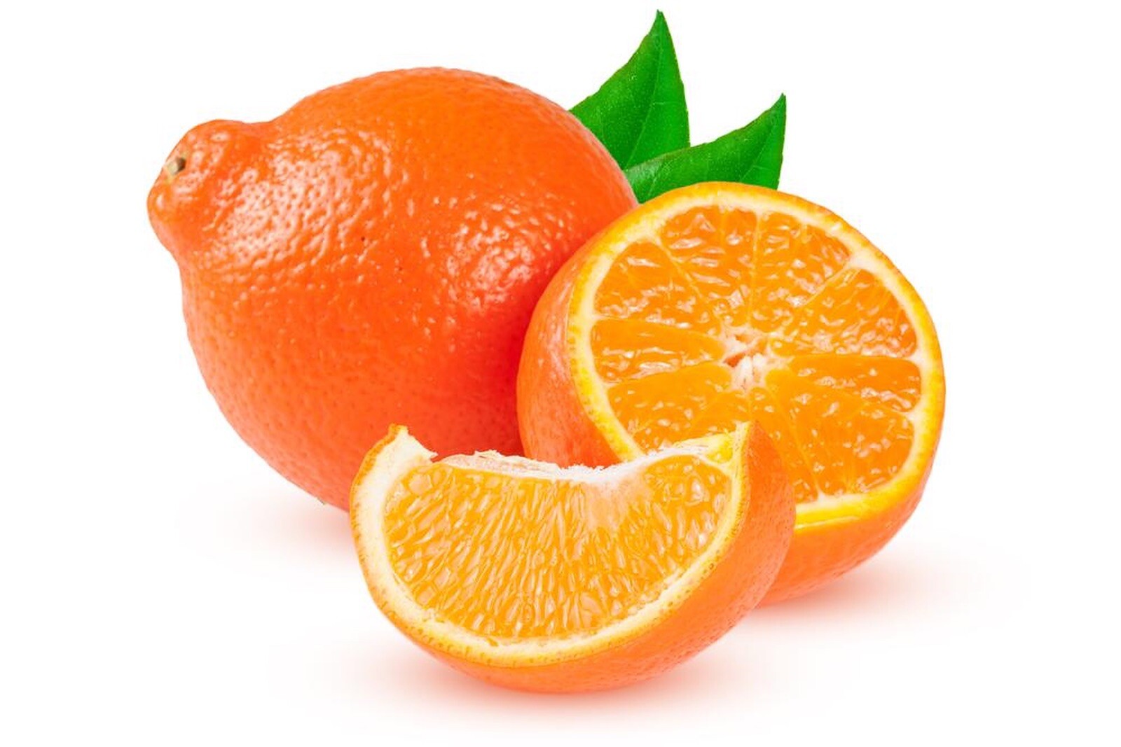 California only!! Minneola Tangelo Semi-Dwarf Tangelo Tree 36-48″ tall, grafted