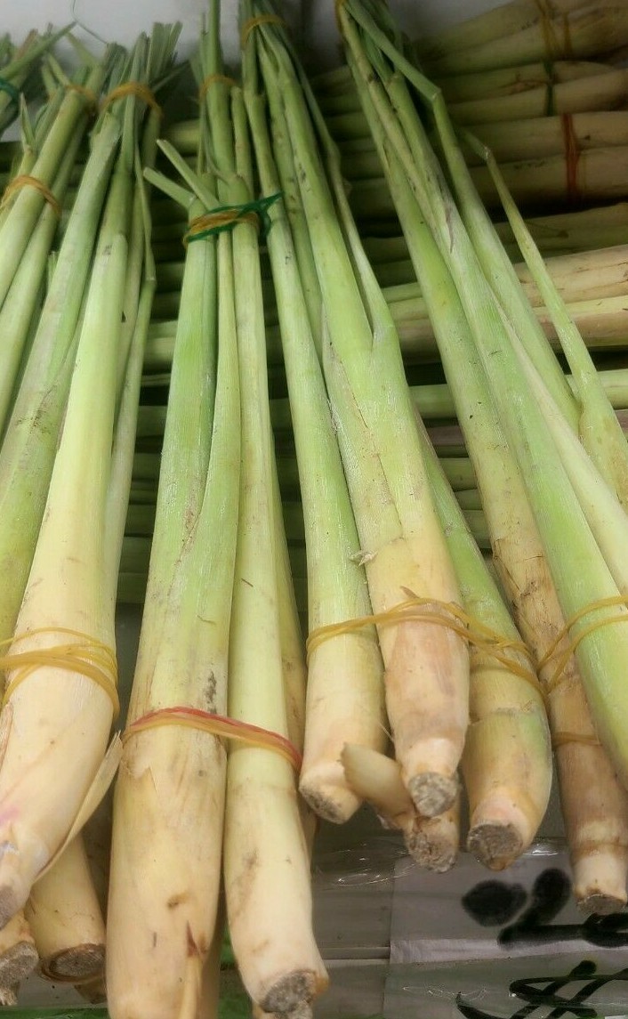 Organic Lemongrass Stalks. Fresh from California!- Free Shipping
