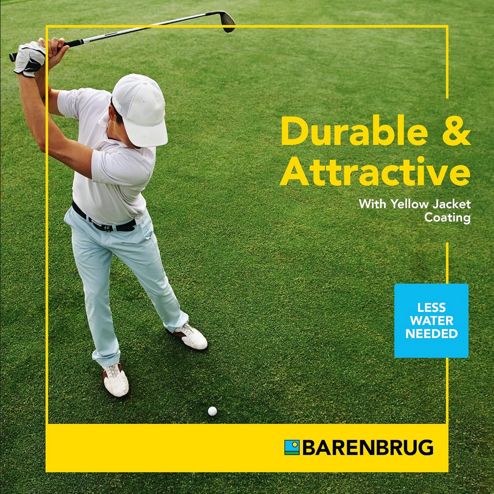 Barenbrug Turf Saver RTF PremiumGrass Seed with Yellow Jacket Seed Coating 10lbs