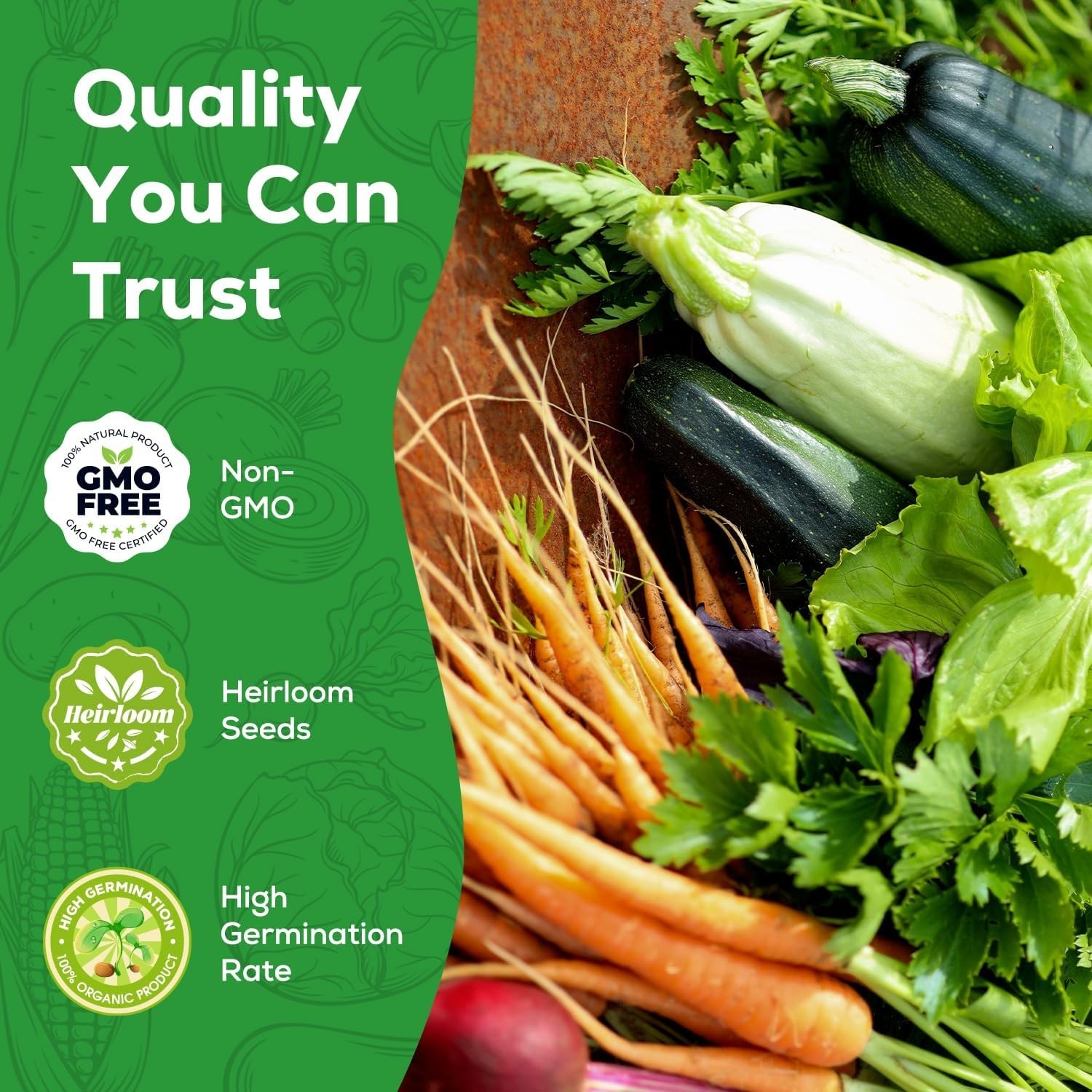 【Seed Vault】 Heirloom Vegetable Seeds Planting Kit – 2500+ Non-Gmo Seeds for