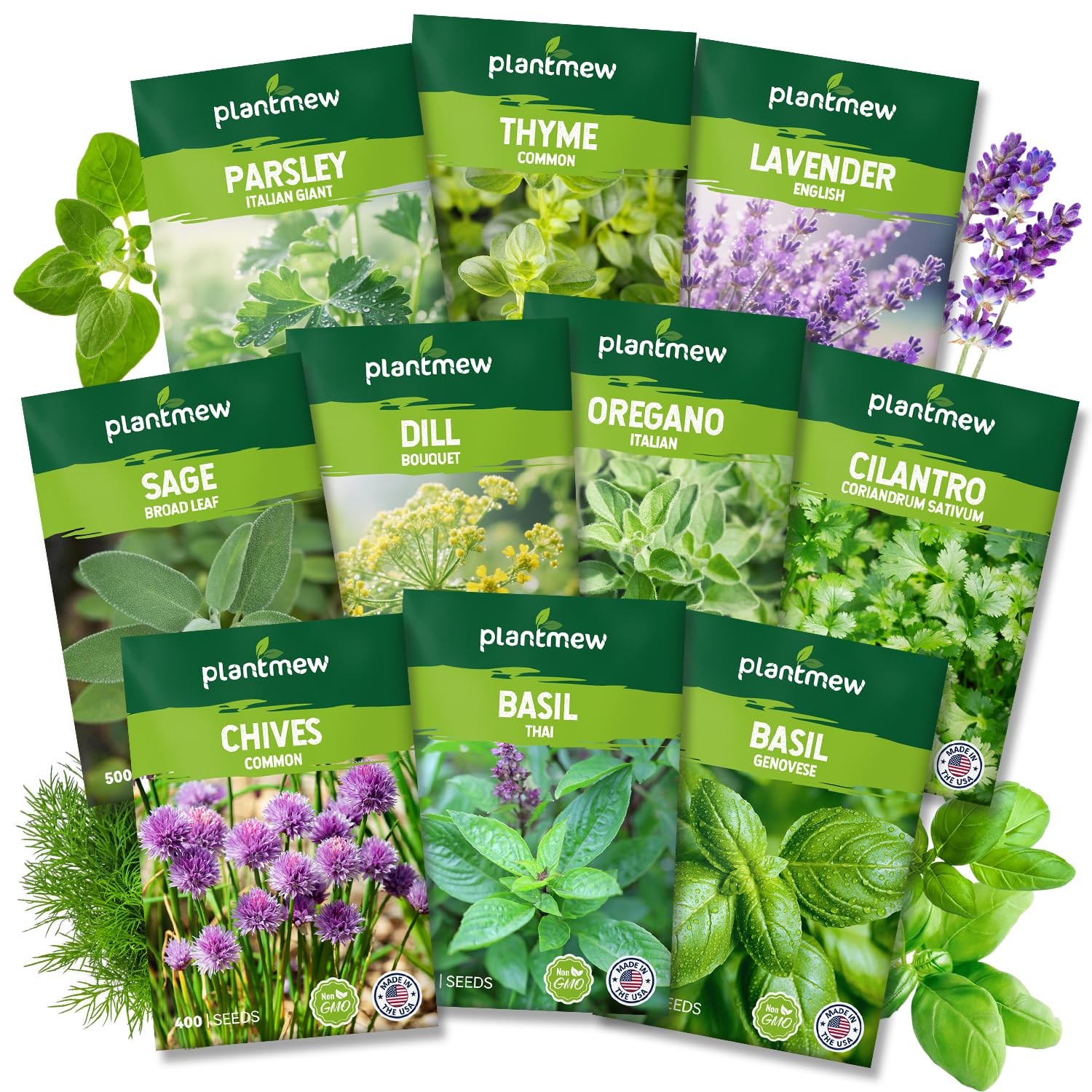 PLANTMEW 10 Herb Seeds Variety Pack 7,000+ Heirloom NonGMO Seeds Basil, Cil…