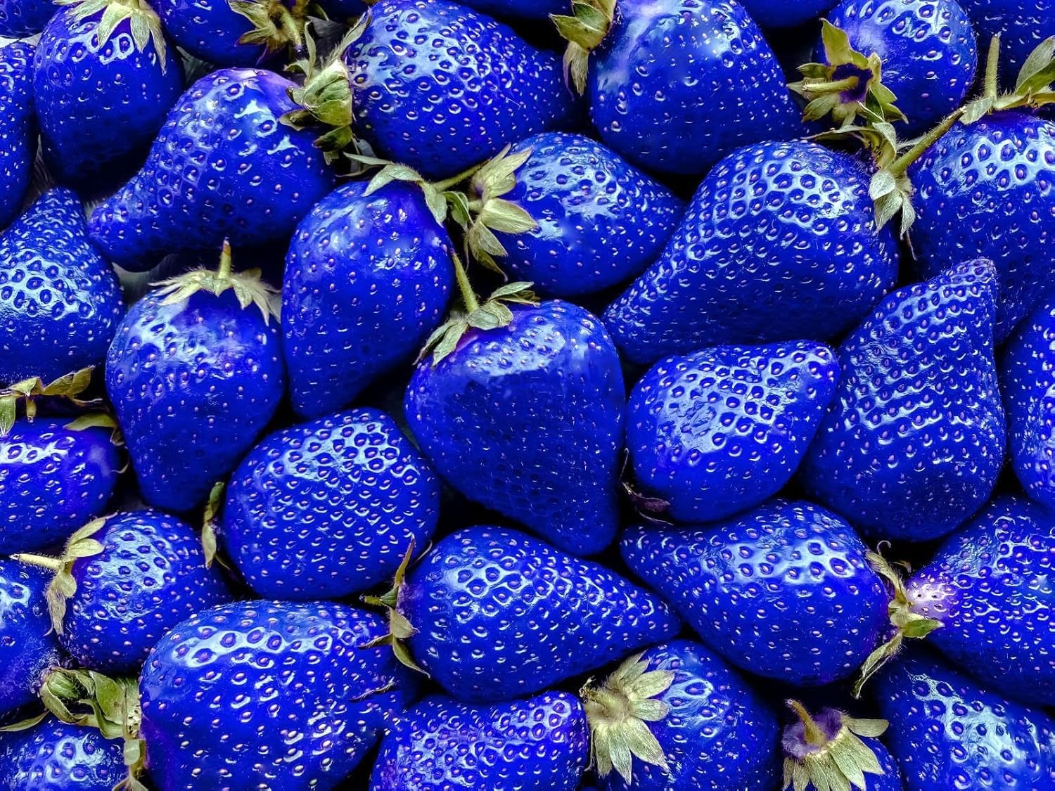 800 Mixed Strawberry Seeds – 4 Colors – Non-GMO Heirloom Perennial Mix