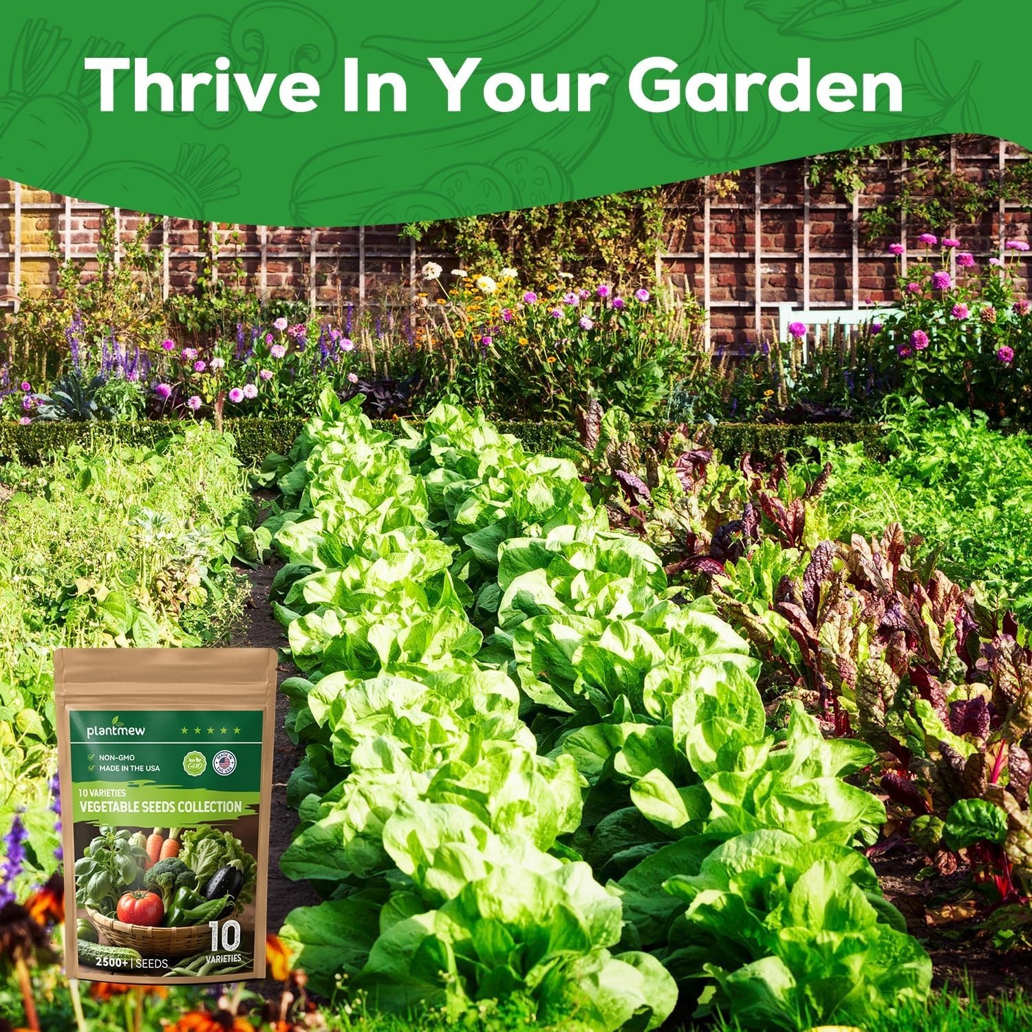 【Seed Vault】 Heirloom Vegetable Seeds Planting Kit – 2500+ Non-Gmo Seeds for