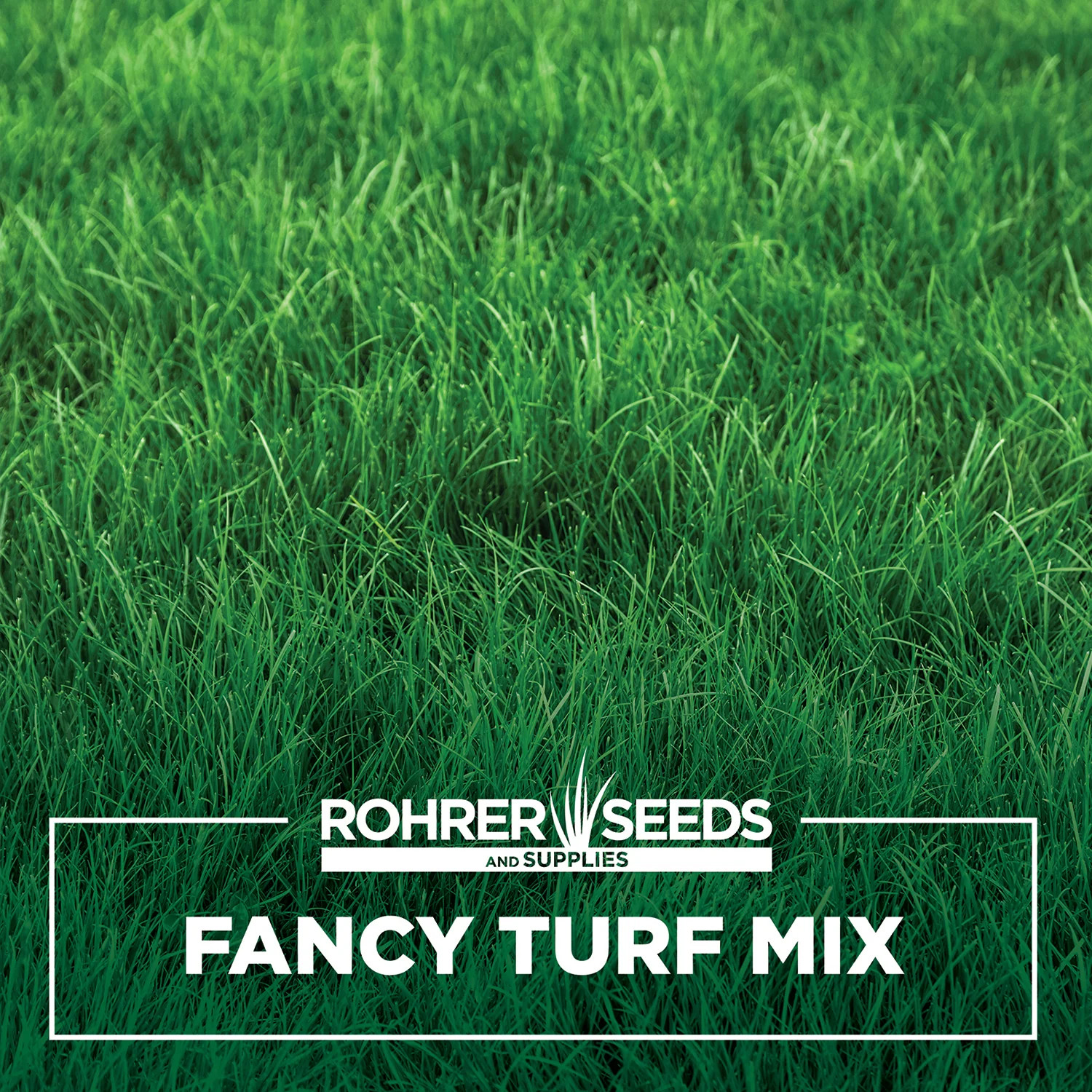 Fancy Lawn Mix – It’s Called Fancy For a Reason! This Premium Blend of Kentucky