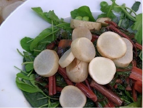 White Albino Beets 50 – 300 – 2 Oz Seeds Super Sweet no stain! NON-GMO
