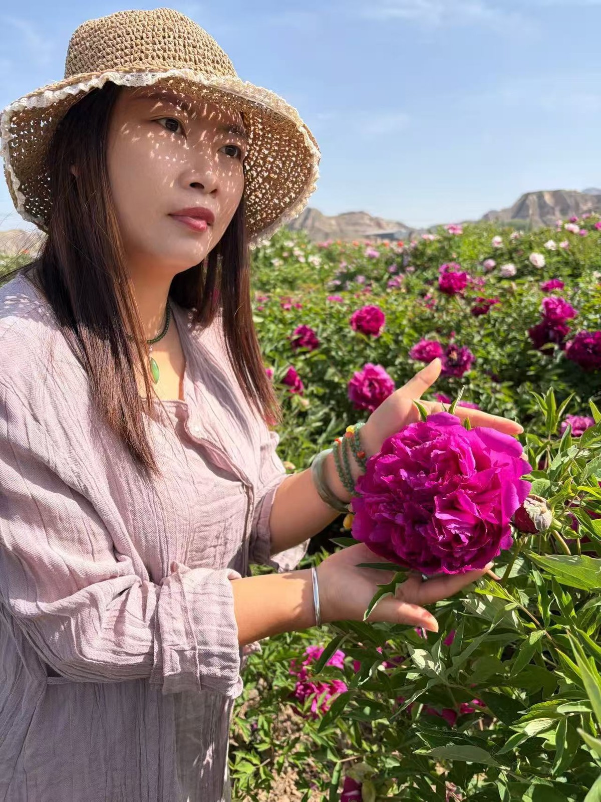 “Li xiang” large flower tree peony