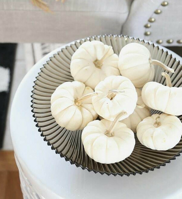 Baby Boo Pumpkin Seeds | Untreated White Mini Little Gourd Fall Squash Seed 2023
