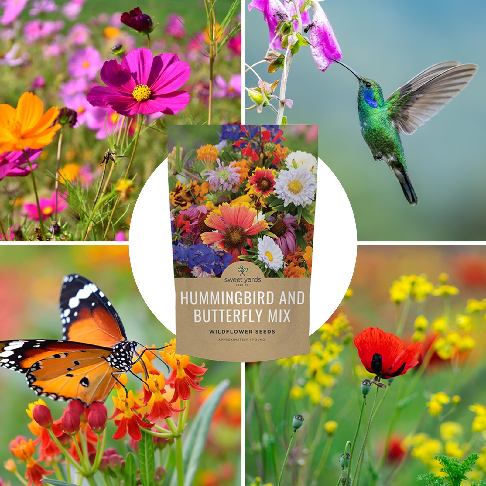 Bulk Wildflower Seeds Butterfly and Hummingbird Mix – 1 Pound Bag – Over 120,…