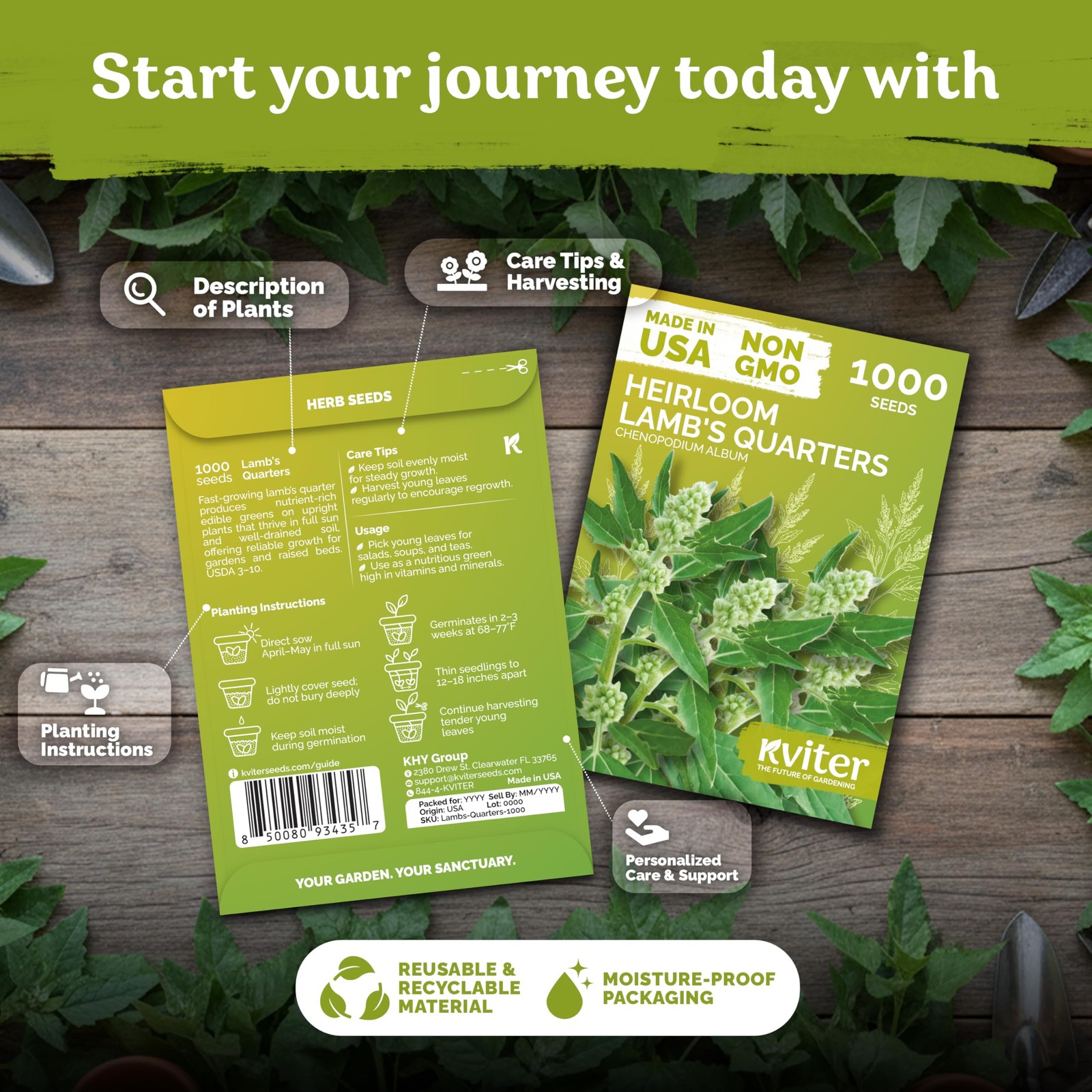 Lambs Quarters Seeds – Edible Wild Spinach, Non-GMO Annual Herb for Gardens