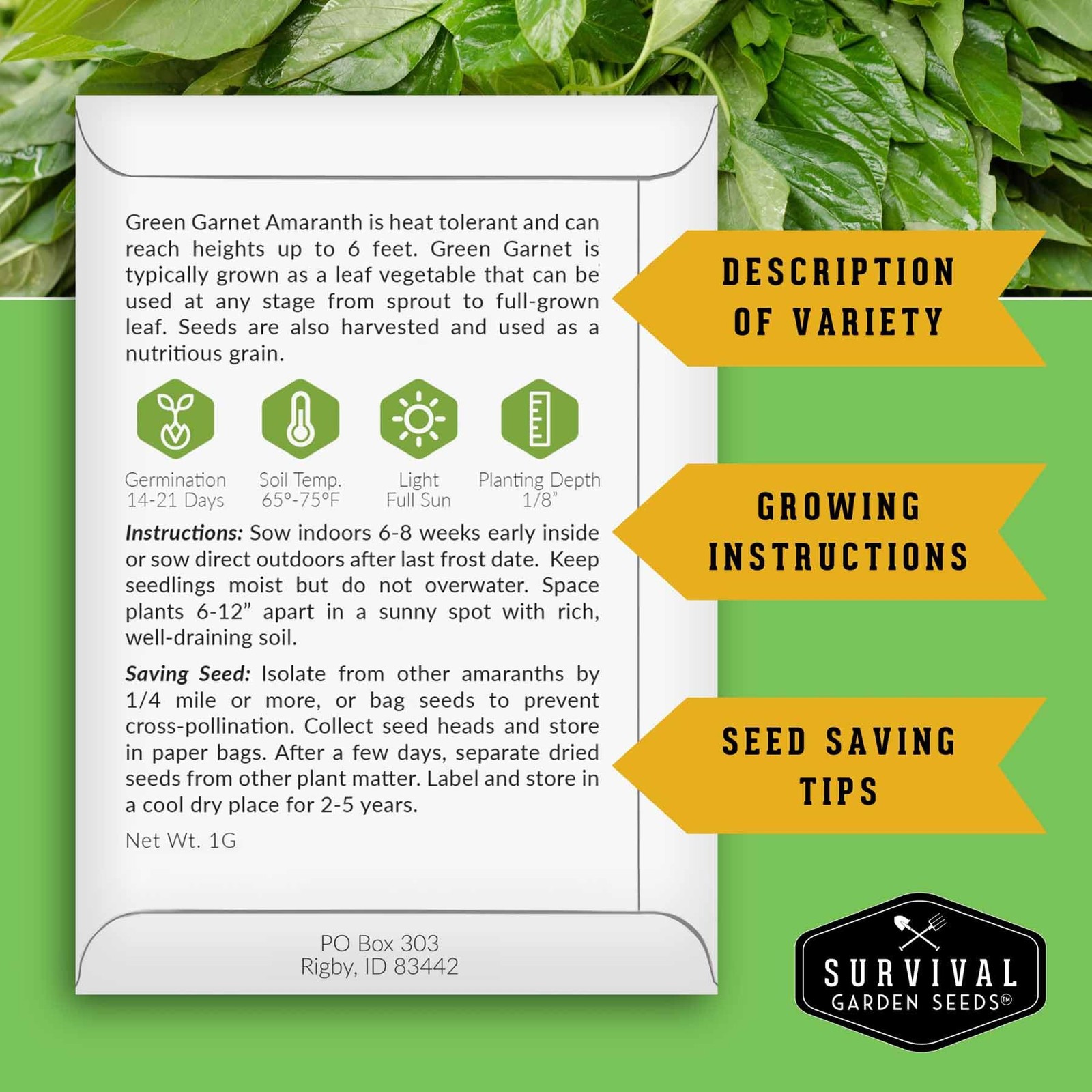 Green Garnet Amaranth Seeds for Planting – Callaloo Leafy Greens green, red
