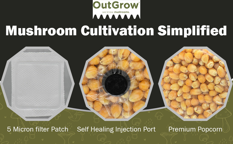 6-Pack Sterilized Popcorn Grain Spawn – 1 lb Bags with Injection Ports