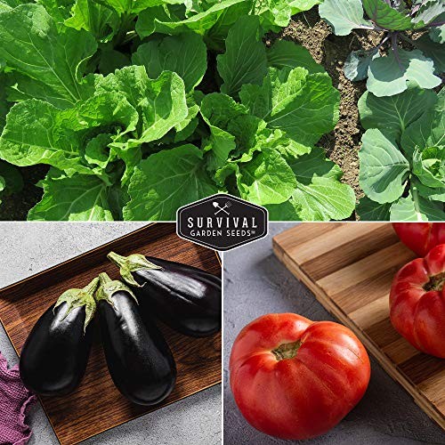 Vegetable Garden Collection Seed Vault – Non-GMO Heirloom Family Garden Seeds