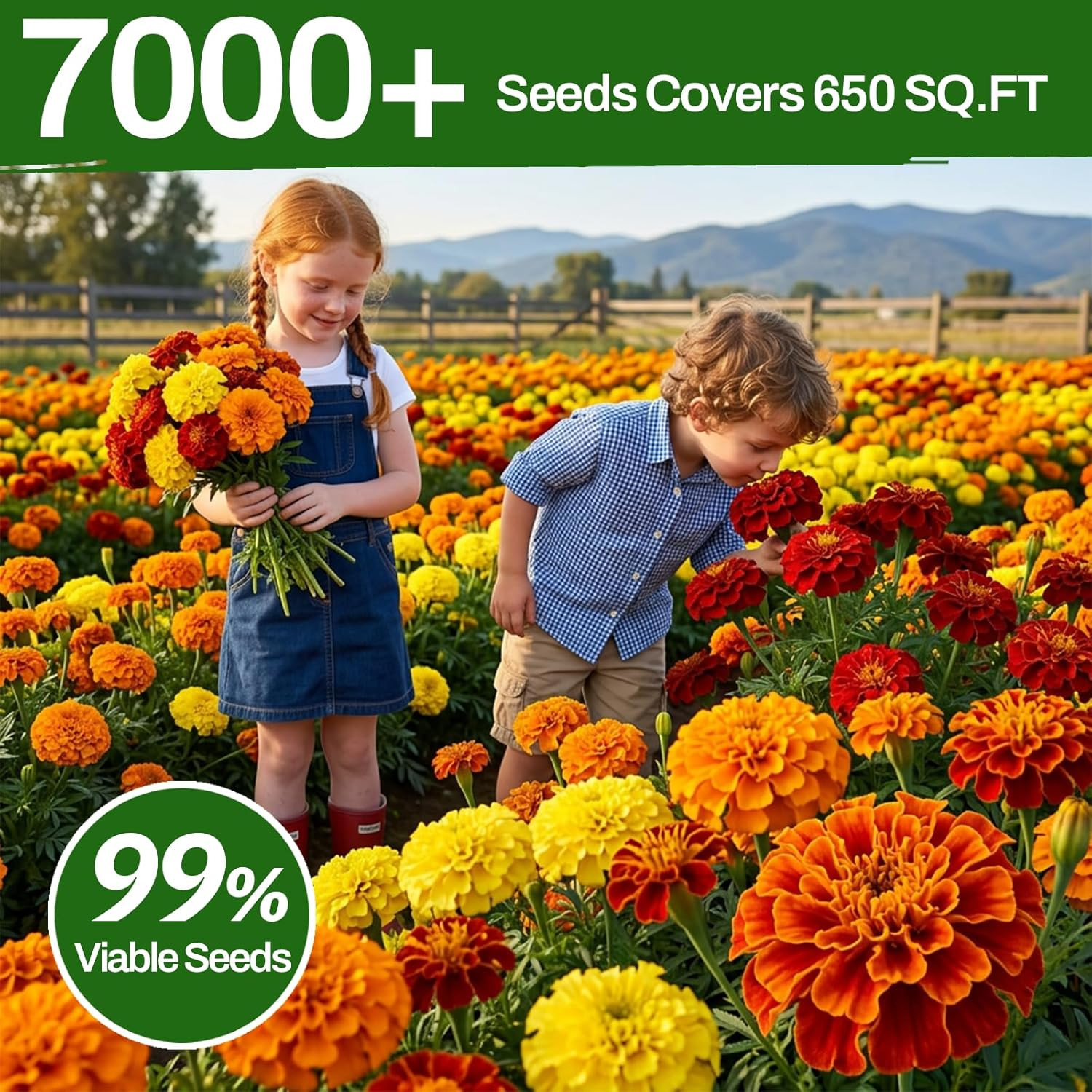 10 Varieties Flower Seeds in Individual Packs, 40000+ Non-Gmo Seeds Planting Ind