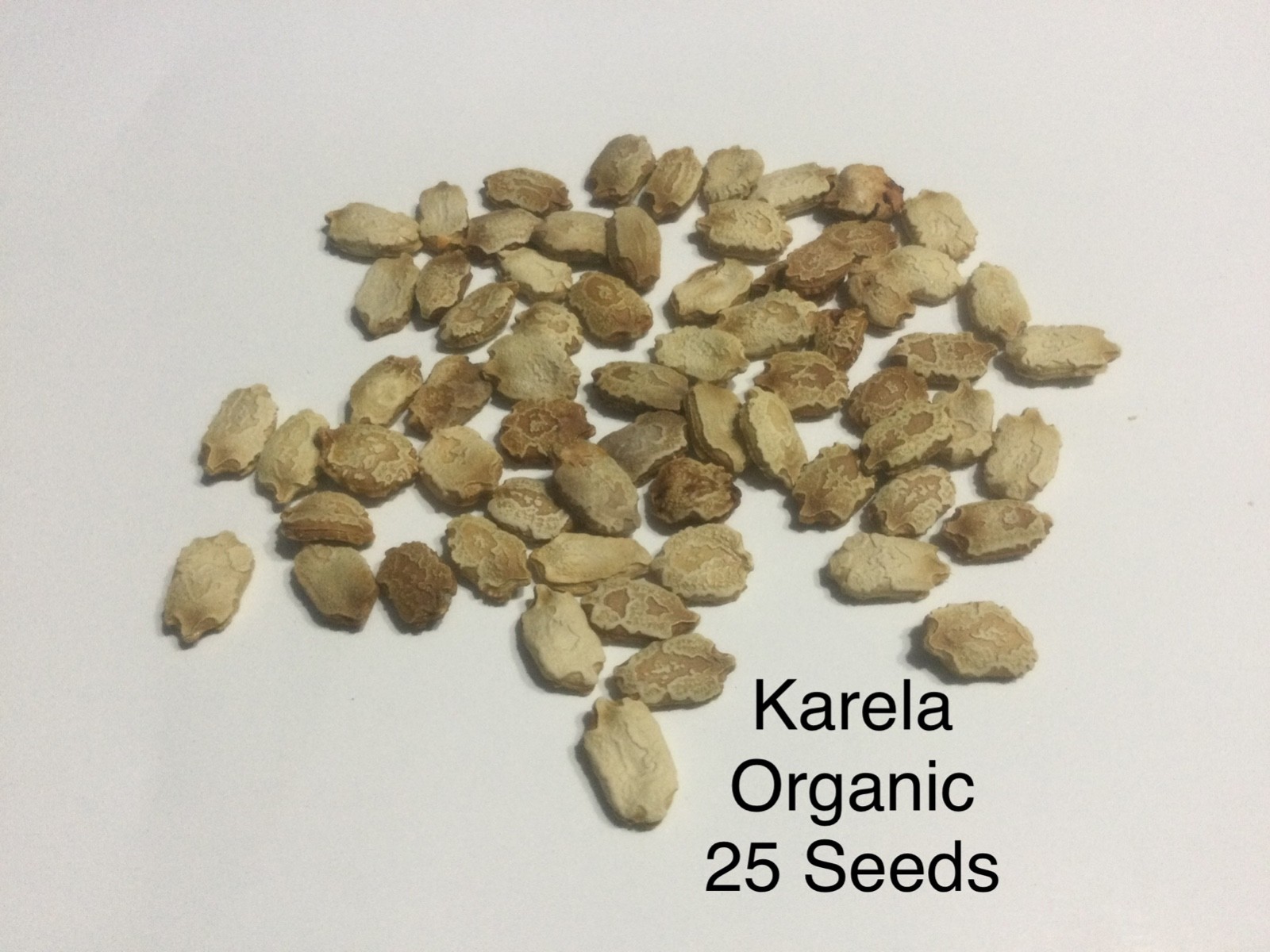 Seeds(Organic) All type, Please See Description